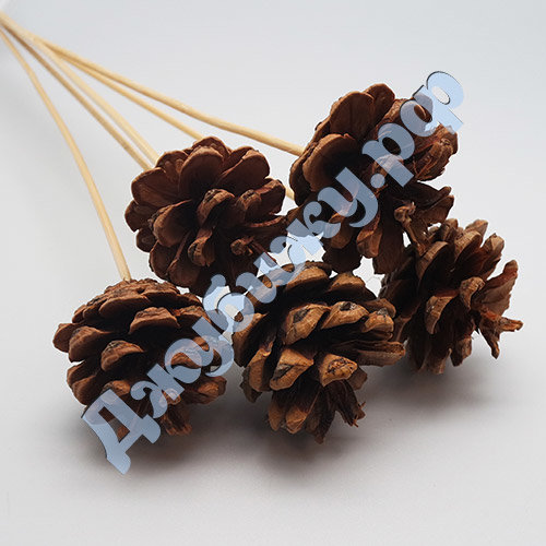 Шишки натуральные 40 мм на пике 35 см (5 шт в упак)