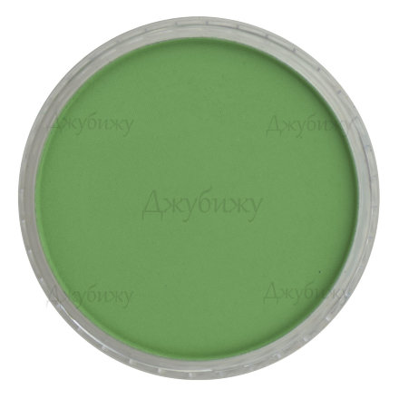 PanPastel пастель зелёный Permanent 9 мл (Pure colors​)